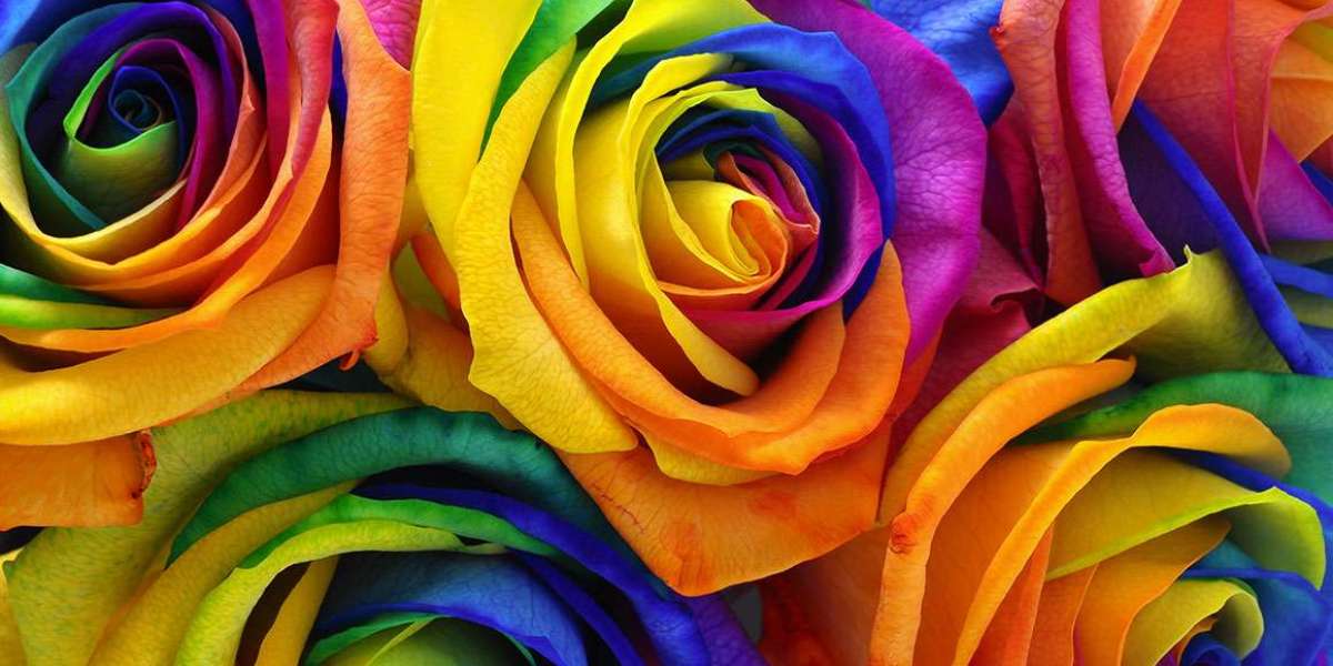 Rainbow Rose Delivery