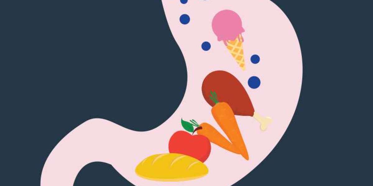 From Plate to Portal: Understanding How Long It Takes to Digest Food