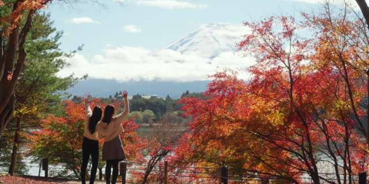 Unraveling the Magic of Mount Fuji: A Journey Through Fuji Tours