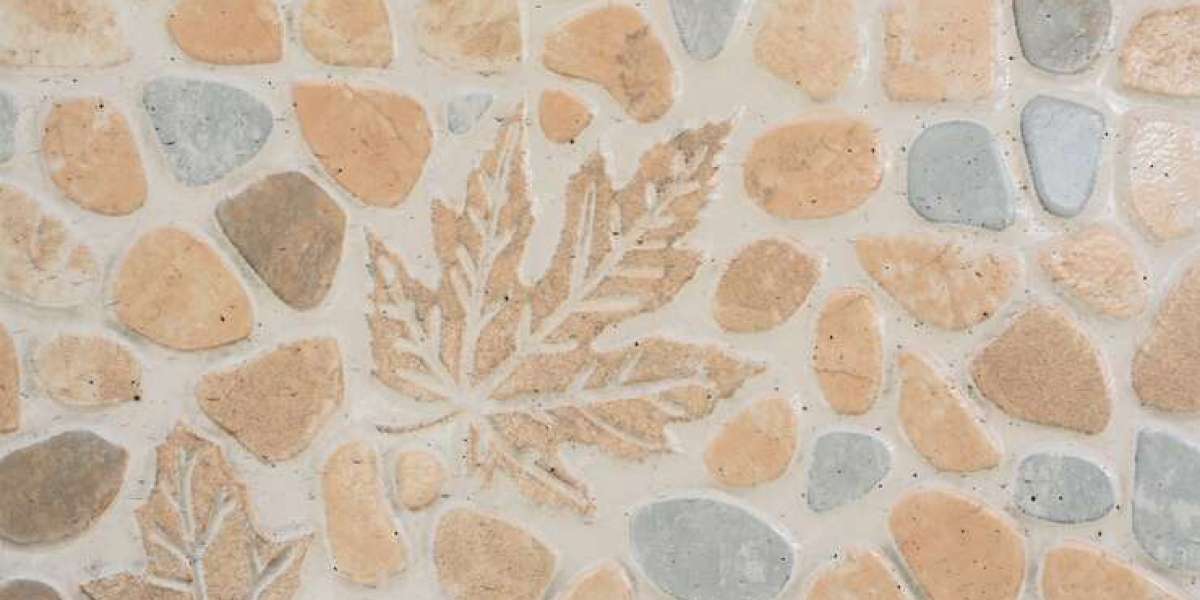 Transform Your Home with Nature-Inspired Natural Tiles - ShopTerre's Collection
