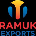 pramukh exports Profile Picture