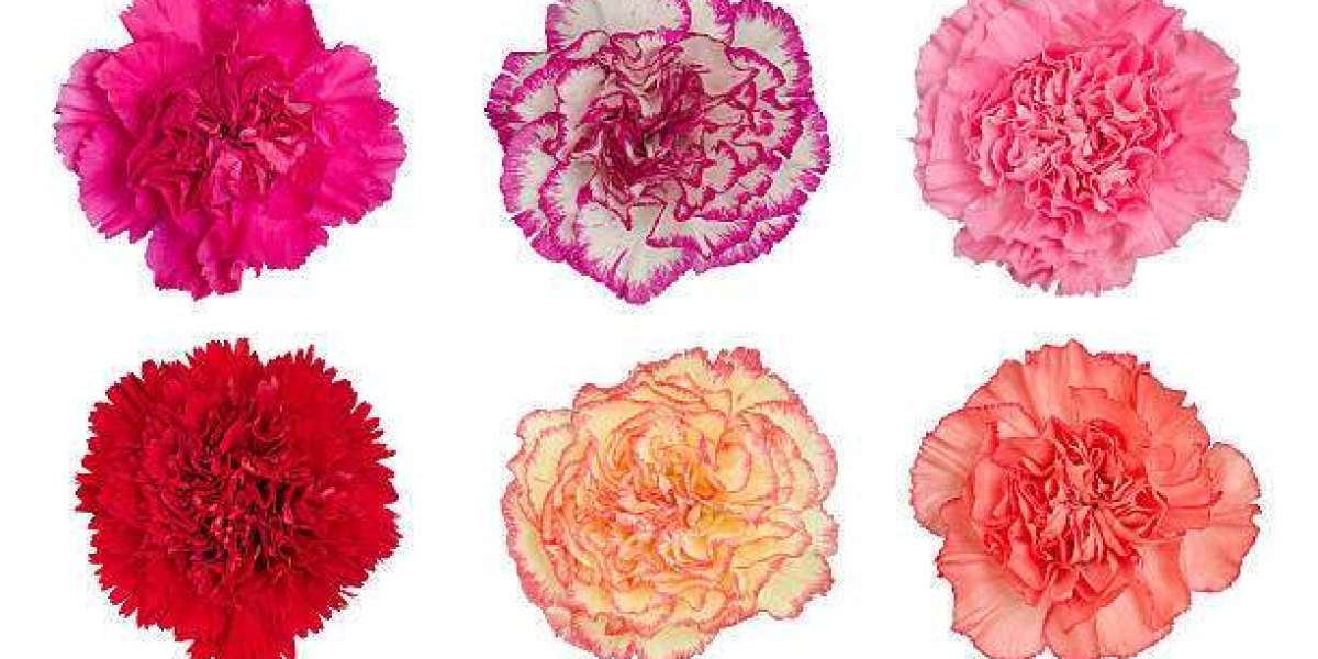 The Beauty of Carnation Flowers in Bulk: A Florist's Guide